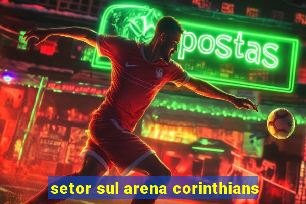 setor sul arena corinthians